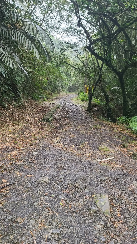 2025-01232淡蘭古道北二段(燦光寮古道到澳底)_2696551