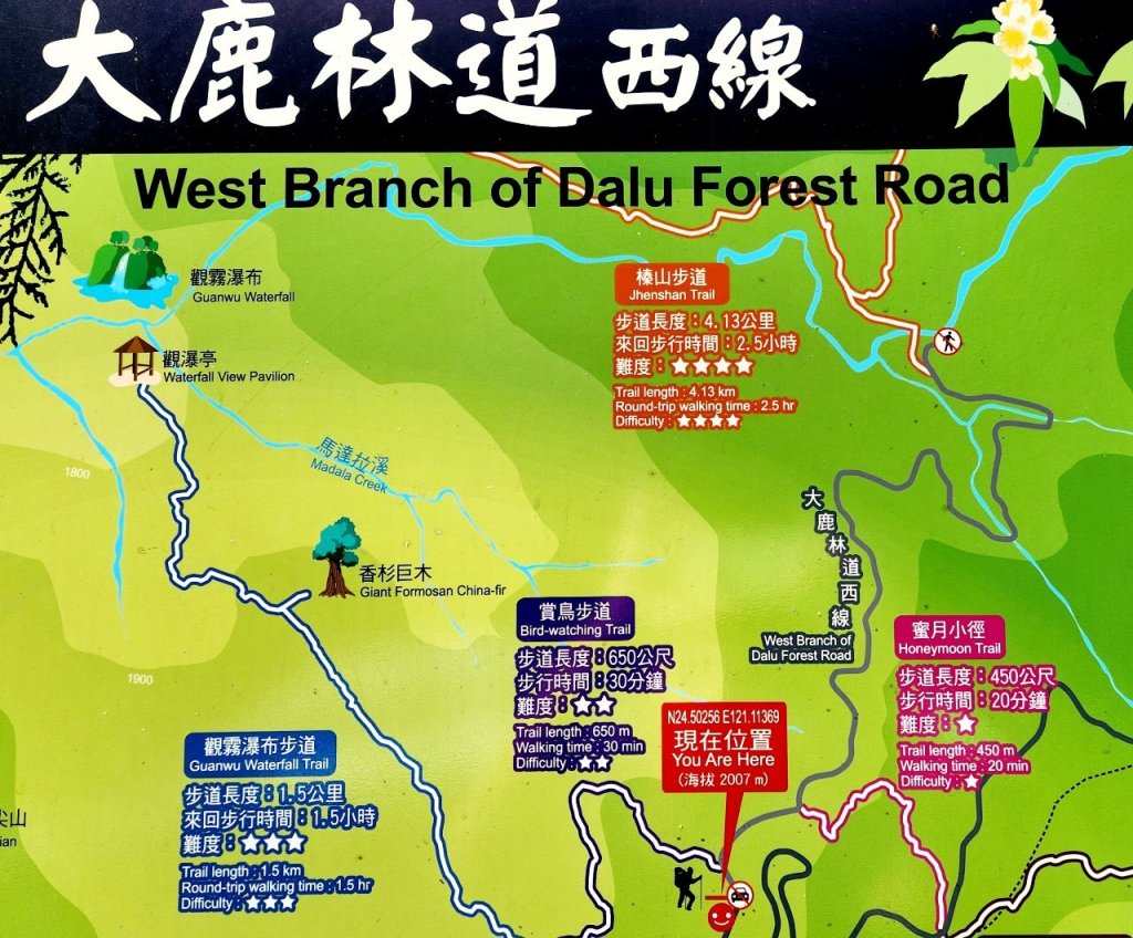 【中級山】雲海的故鄉，觀霧榛山步道，榛山，榛山北峰_2744517