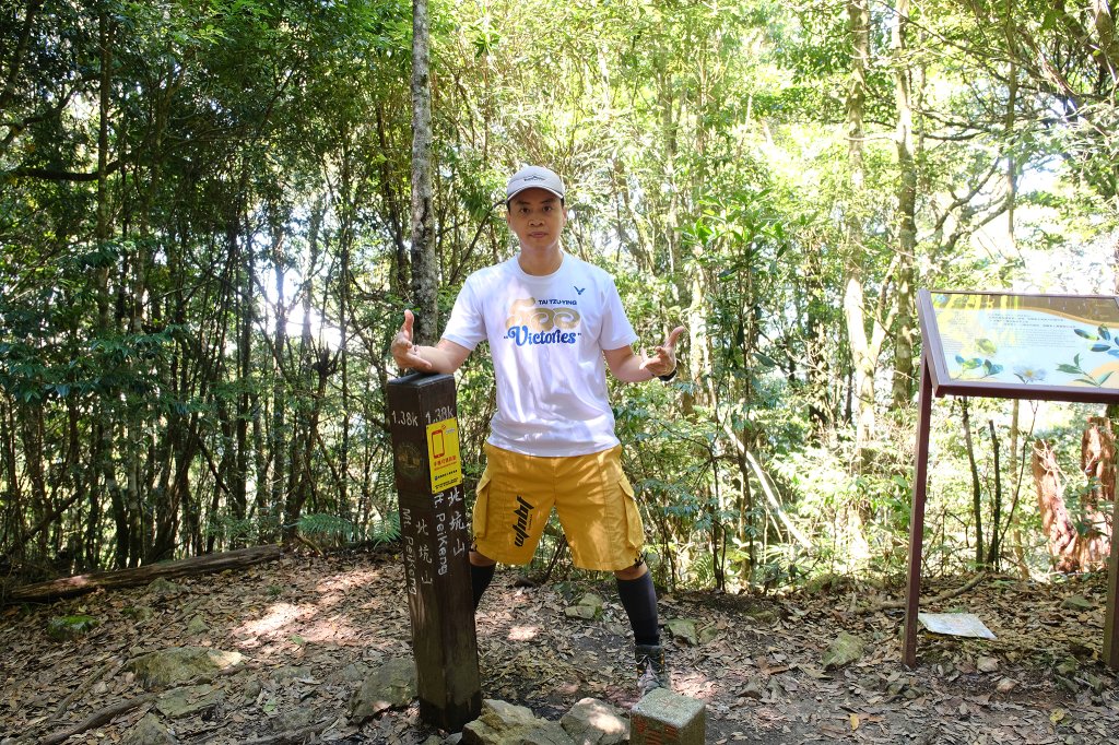 雪見大板根_2924691