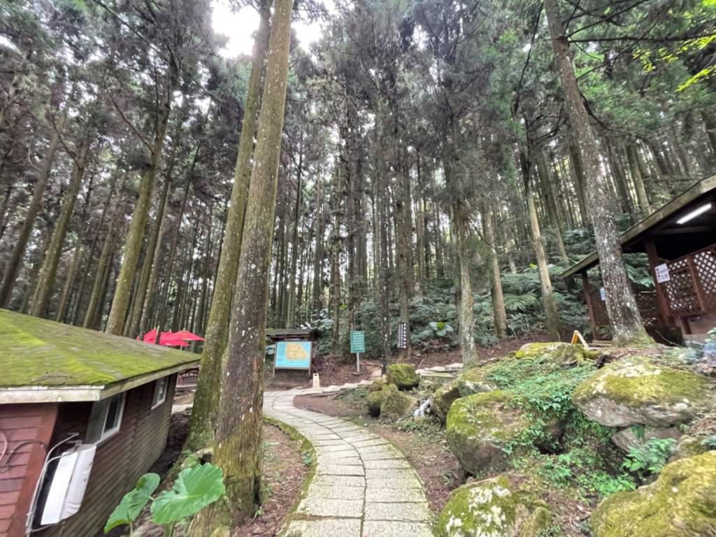 雨中鵝公髻山_1823734