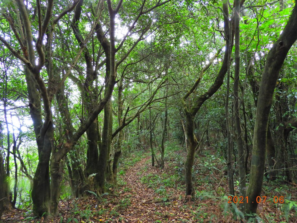 基隆 七堵 仙洞湖山_1422609