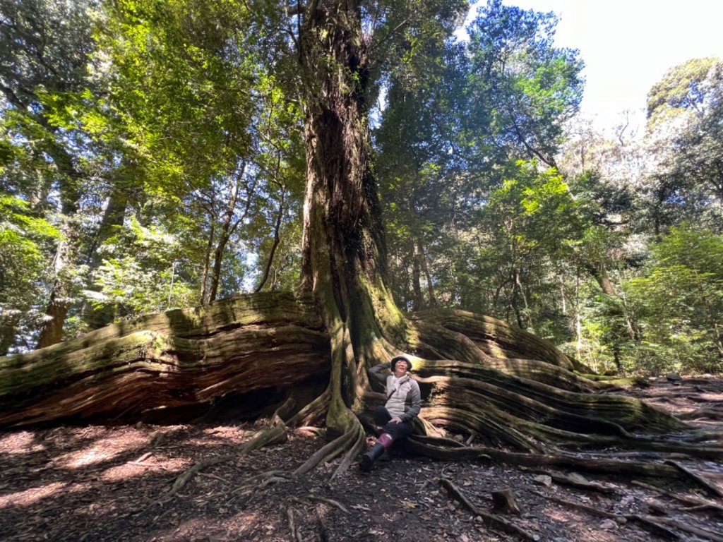 2022/03/08觀霧山莊-雪見遊憩區_1635546