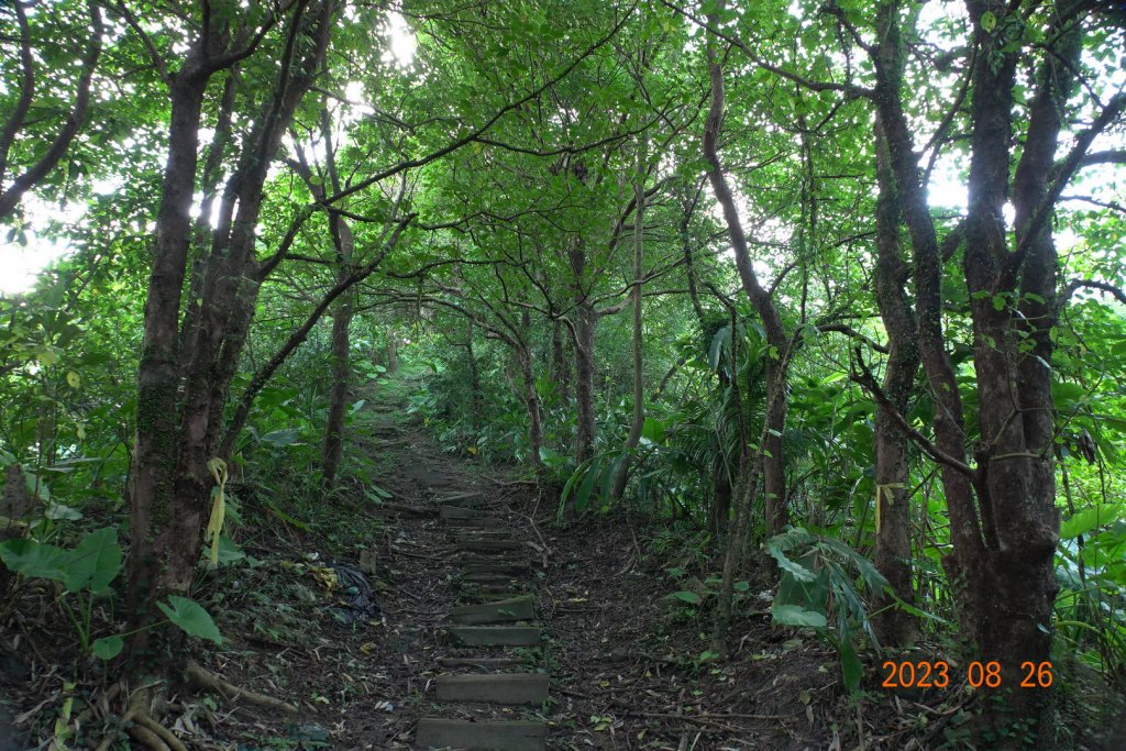 基隆 頂寮山、龍門山、五分山、頂子寮山_2265913