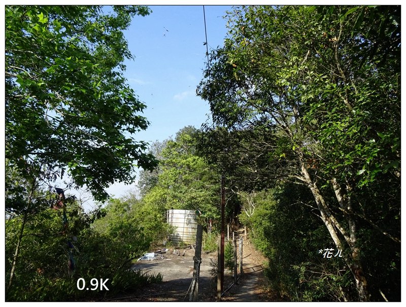 台中/大坑最美5-1步道_882459