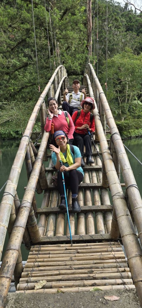 溪頭鳳凰林道_大學池_20240801_2577740