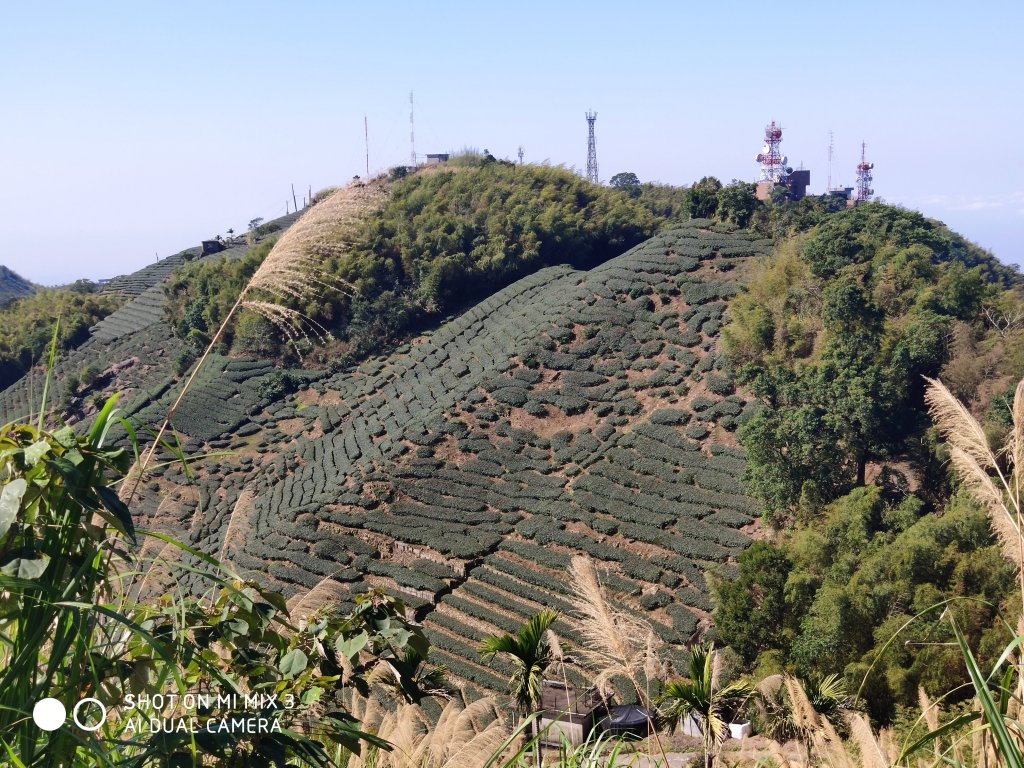 梨子腳山_524990