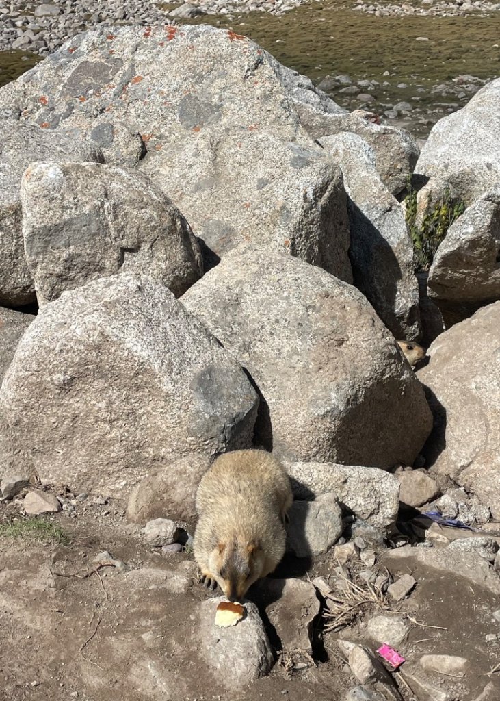 西藏-崗仁波齊轉山/珠峰大本營5200米_2897611