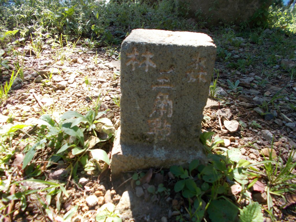 鷹山連走夫婦山西峰_1143820