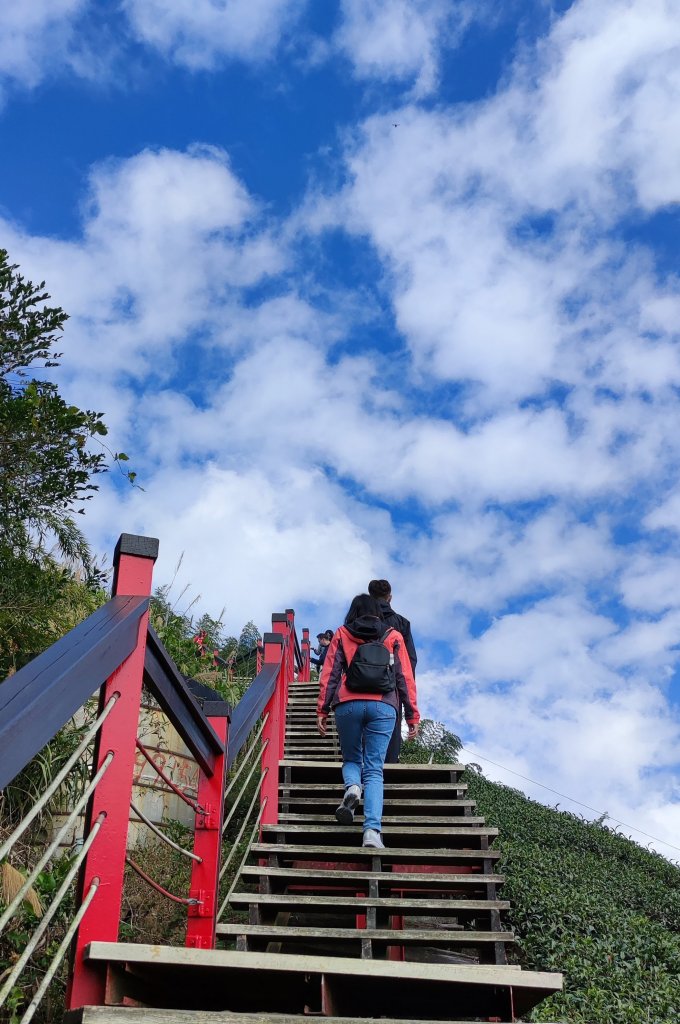 雲嘉二尖山大尖山封面圖