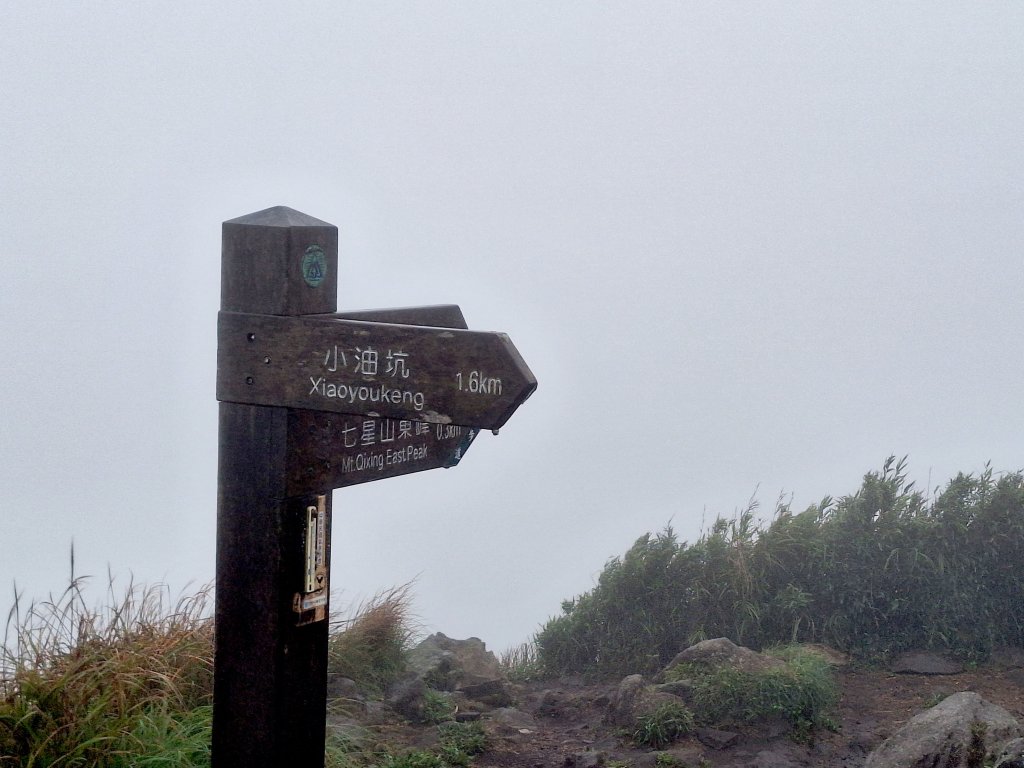 20251019 苗圃-七星山-小油坑_2921124