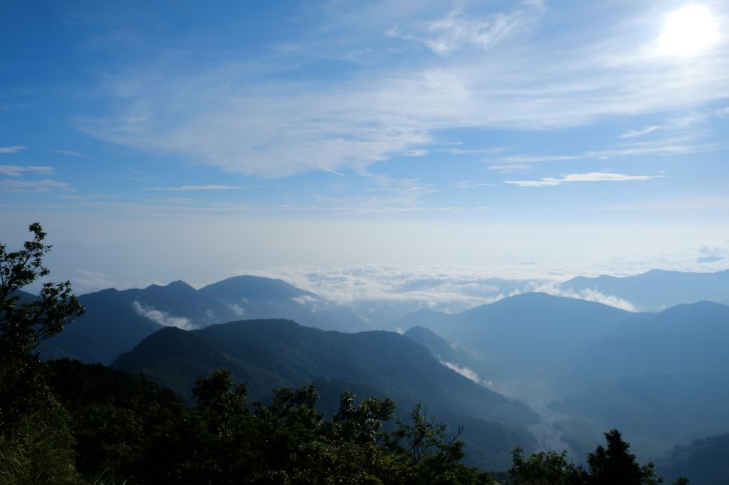 水青岡換新裝~探索太平山的原始森林_349138