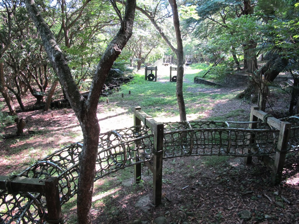 2020-06-05 大坑1號步道_985437