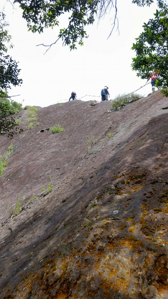 20190526 五寮尖山_817387