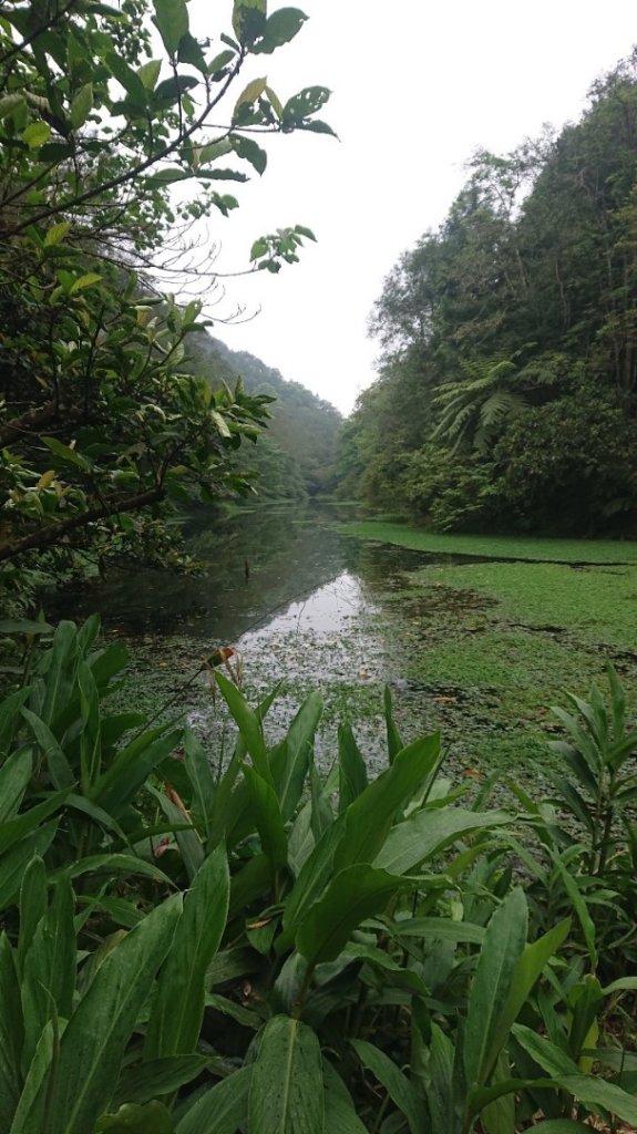 冷埤、粗坑山_2542662