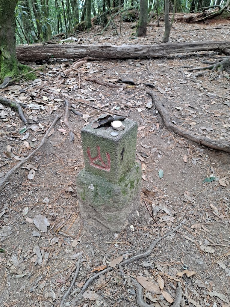 鳶嘴稍來(下稍來南稜)_2010305