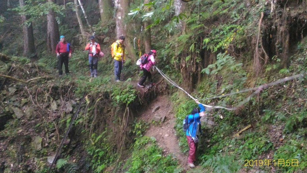 小百岳行~加里山(#34)，苗栗縣山_500959