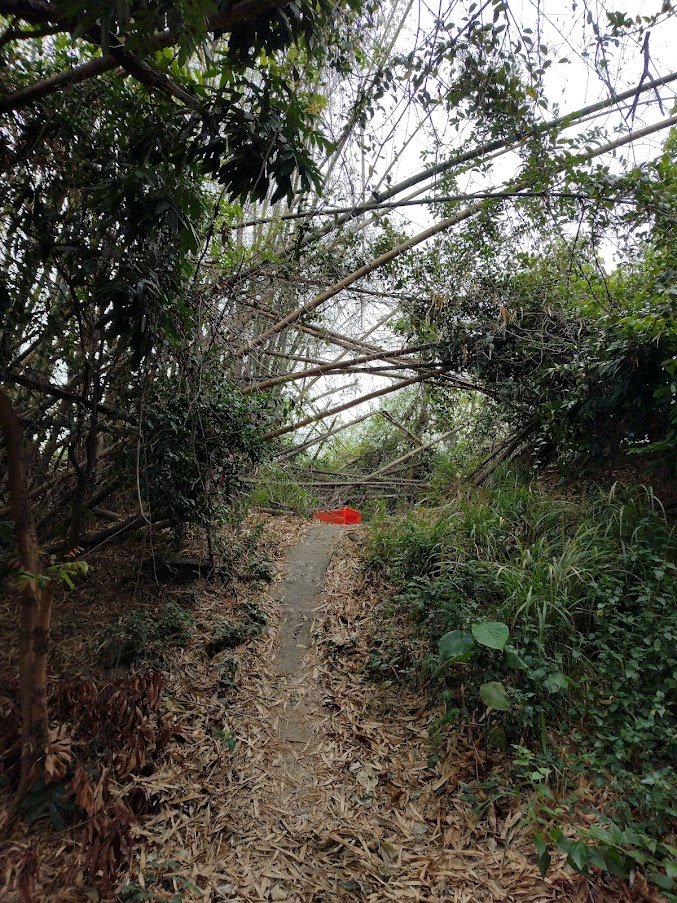 2022 4/2 觀音山(大社)_1664090