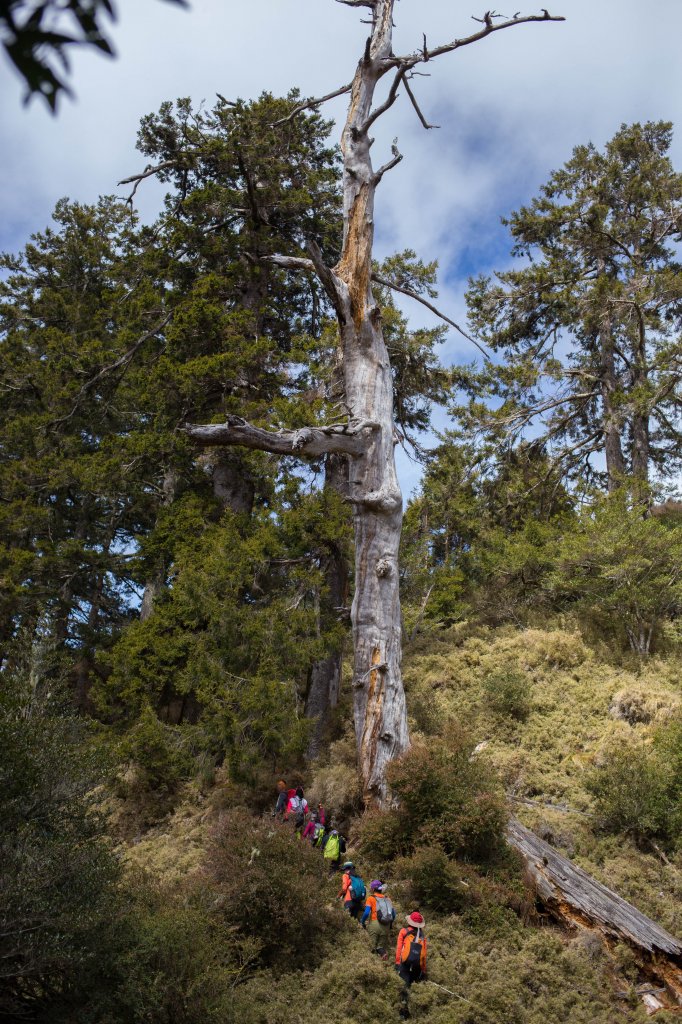 【高雄】多尾蘭山+玉穗山_870592