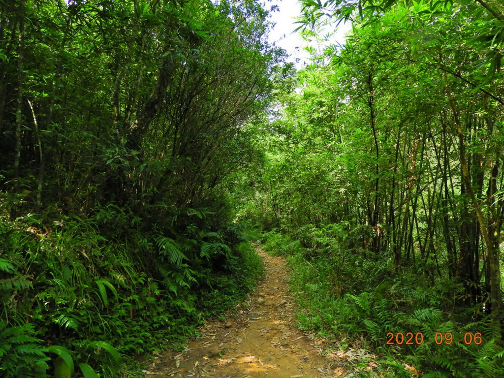 新北 烏來 紅河谷越嶺古道(加九寮)_1090291