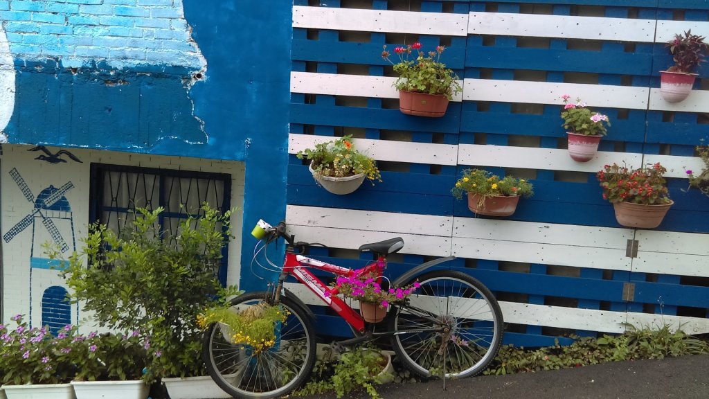 半嶺步道→陽峰古道→陽明公園→前山公園_1028520