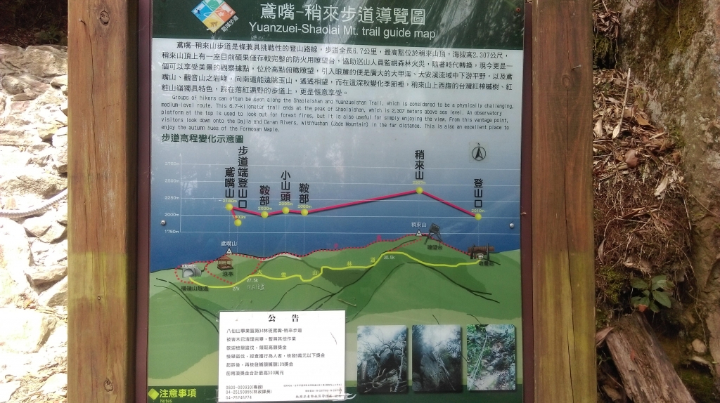 20160305鳶嘴山_32378