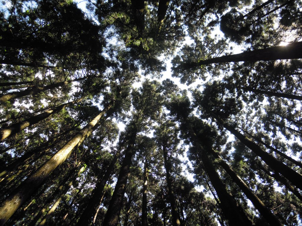 加里山20130630_1958156