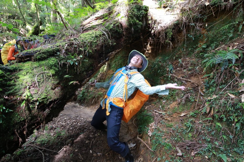 水樣森林 第一次在山裡過夜_658860