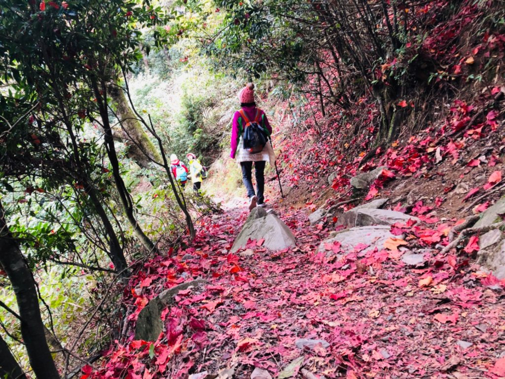 1091220稍來山主峰.南峰_1214668