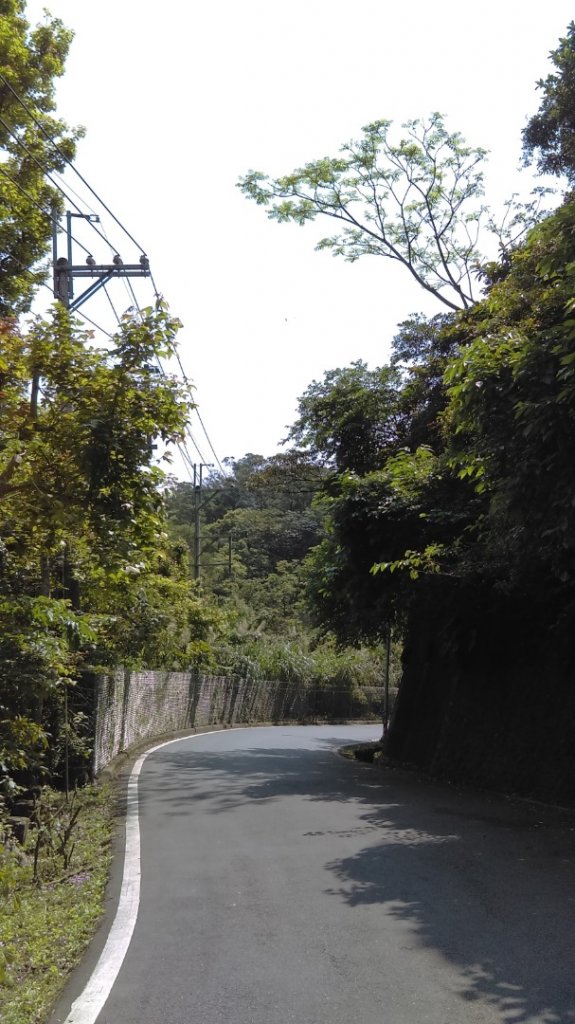 尋訪五月雪的土城桐花公園步道、承天禪寺_892898