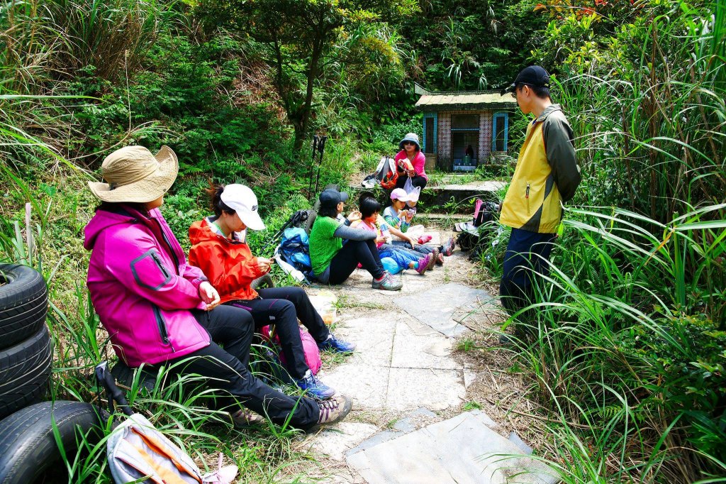 燦光寮古道與黃金三稜_554305