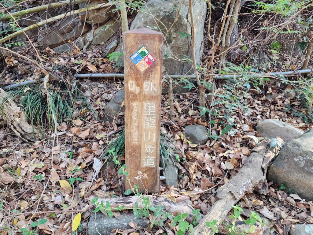 小百岳No.80⛰里龍山_2776318