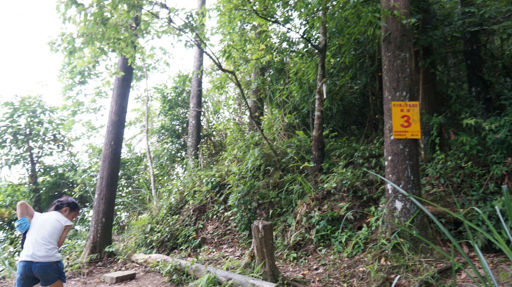 向天湖山之趣_399986