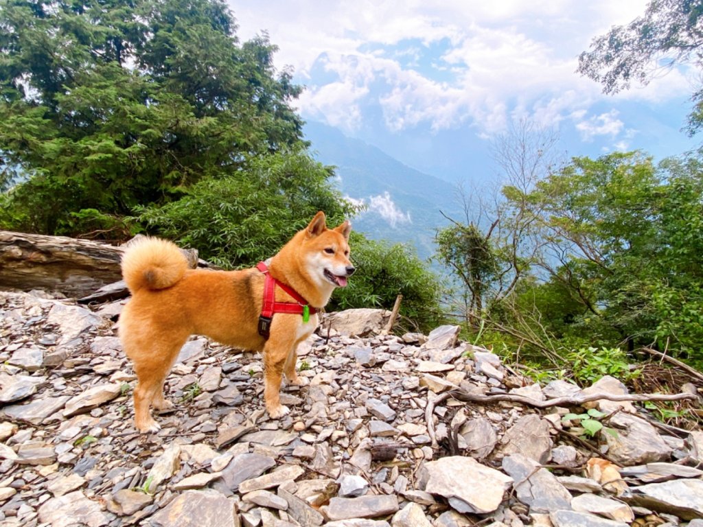 日湯真山封面圖