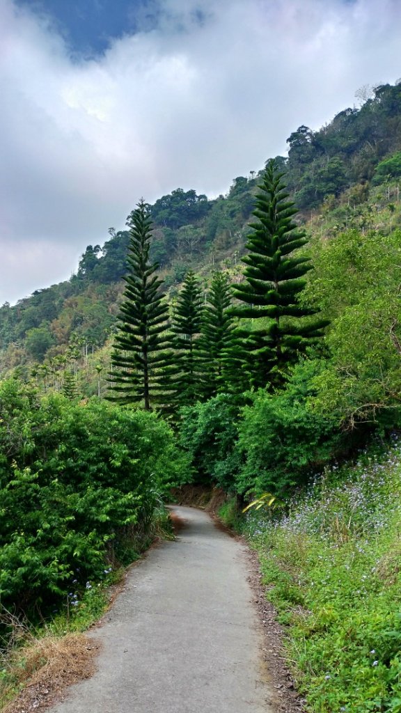 【獵鷹尖、一線天】連走【梅峰、竹子尖山】_872308