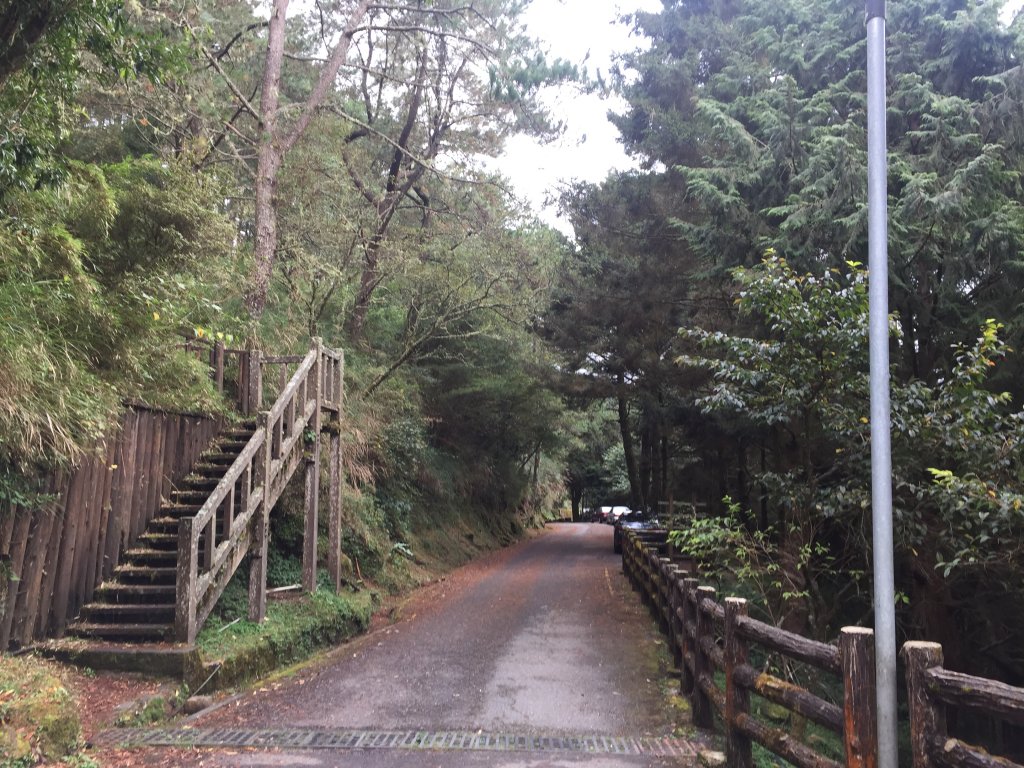 2017_1124_玉山獨自一人爬山之行 (完成主峰, 北峰, 北北峰)_1983303