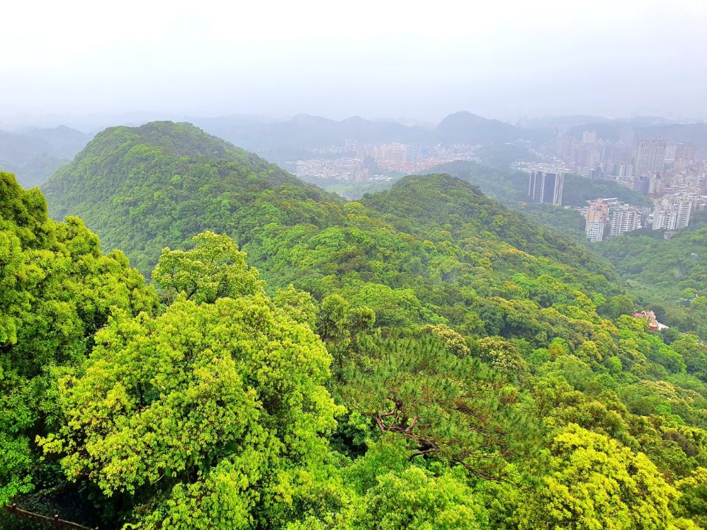 劍潭山，文間山，忠勇山，北投龍鳳谷步道，菜公坑瀑布，水車寮步道，頂湖山，青楓步道，海芋環狀步道_1660783