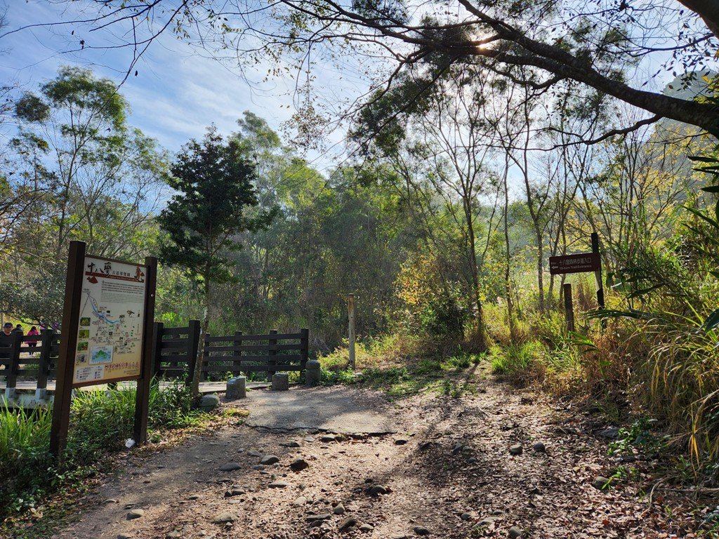 【彰化清水巖】十八彎古道連走擎天崗(中央嶺步道)_2038015