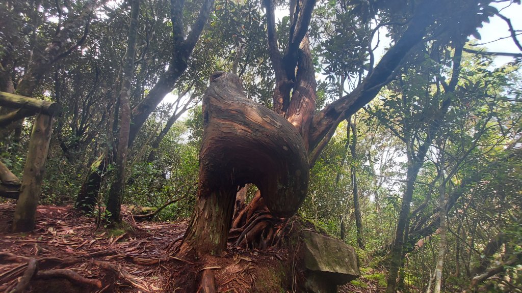 橫嶺山 隧道 主峰 沙蓮山 鳶嘴 8字型_1452195