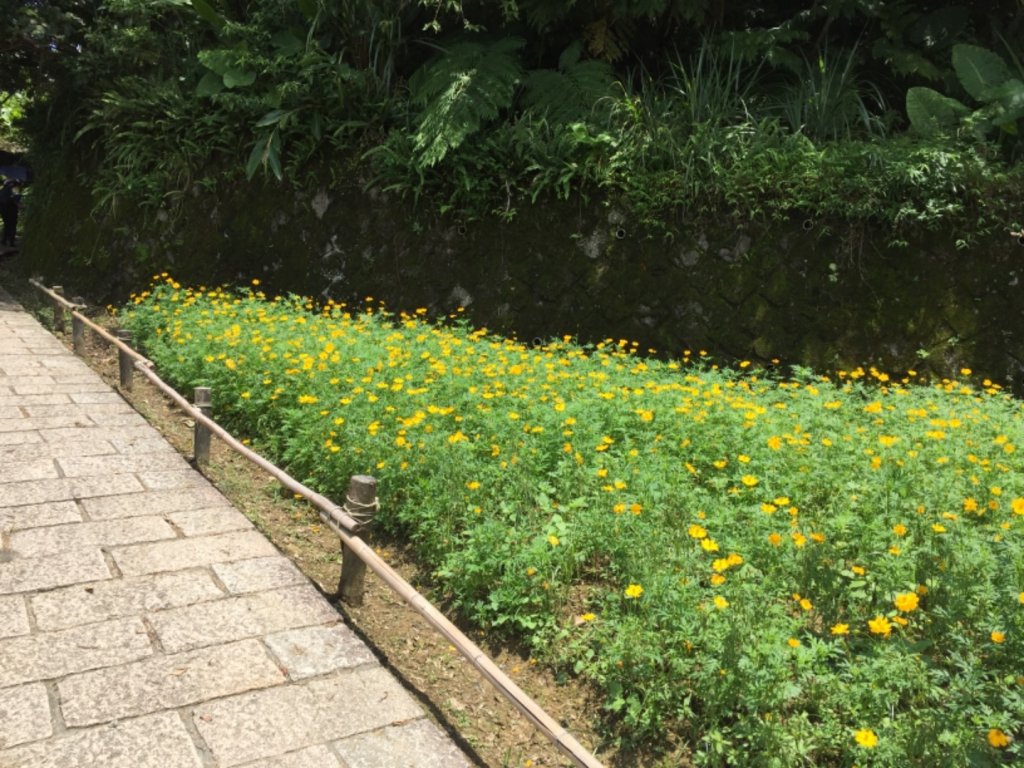 20190722 台北大縱走-南段(1)_634398