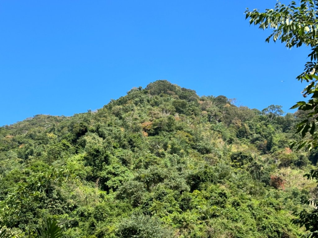 高雄市甲仙區、台南市南化區交界小百岳NO.66西阿里關山(3-5020)，由東側登山口入封面圖