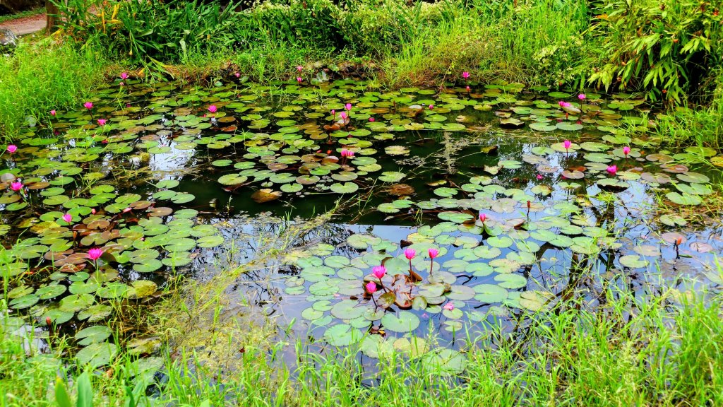 華山小天梯,情人橋_2948574