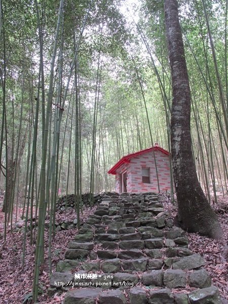 【台中。和平】 與大自然深呼吸。八仙山國家森林遊樂區步道群_1427331