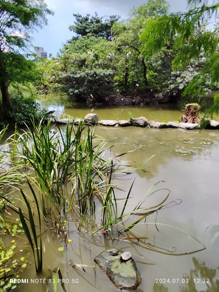 大安森林公園【走路趣尋寶】【臺北健走趣】_2541520