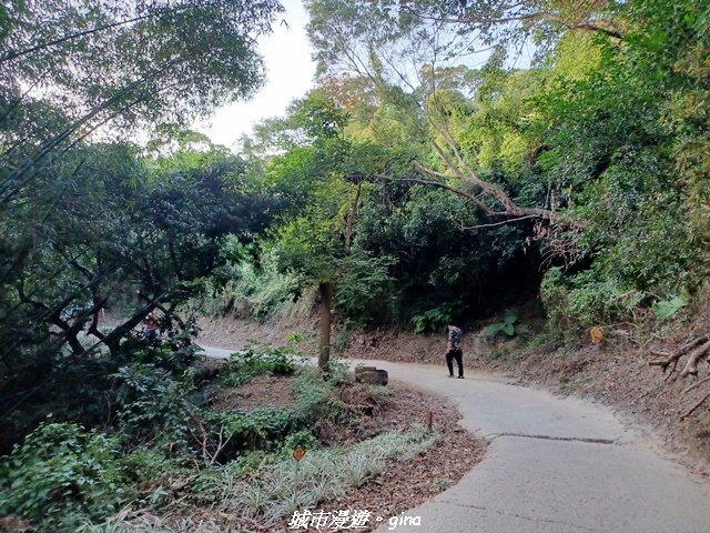 【台中北屯】大坑9-1x9號步道小O繞_2945968