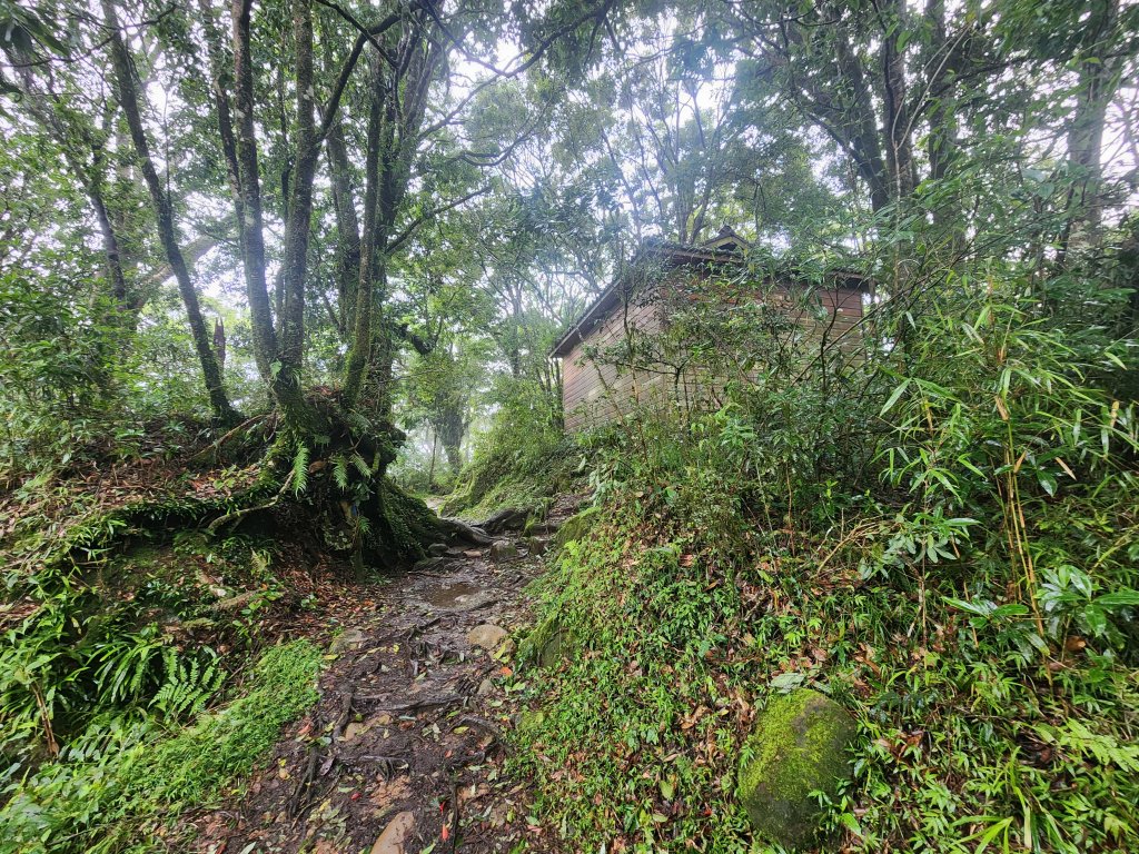 20250719頂湖上大凍山_2907137