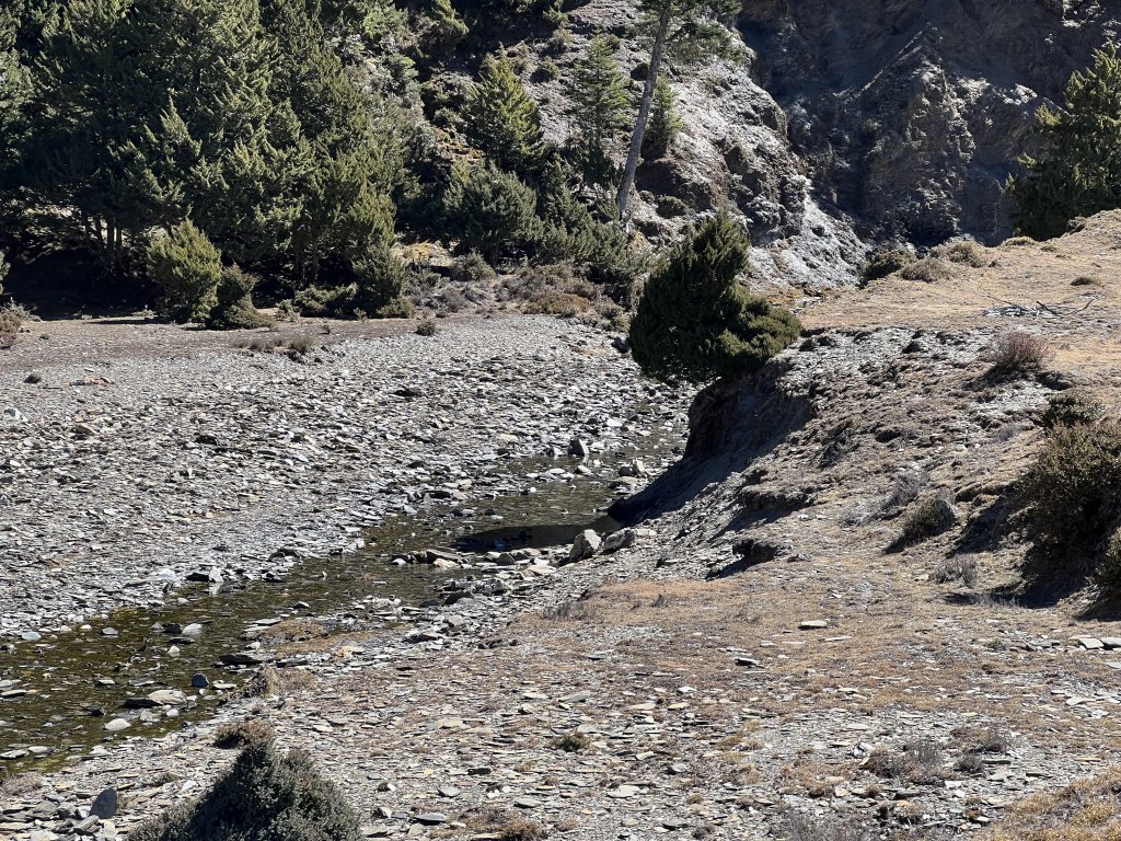 【南三段逆走】D4 郡東山日出、可樂可樂安喝可樂與童話世界_2031565