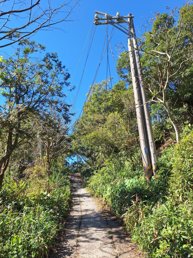 日湯真山20260104_2978565