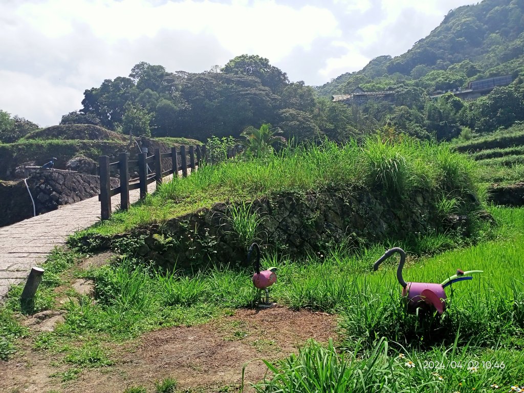 【臺北大縱走 7】樟山寺→國立政治大學 & 獲得第一回合「全程完成證書」_2471624