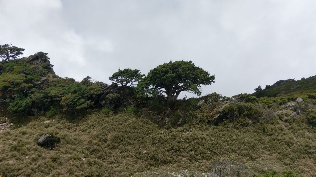 2018/06/05~07嘉明湖風景篇_348264