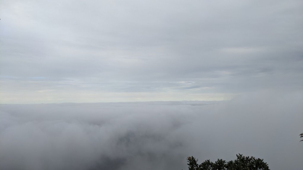 仙山小o走封面圖